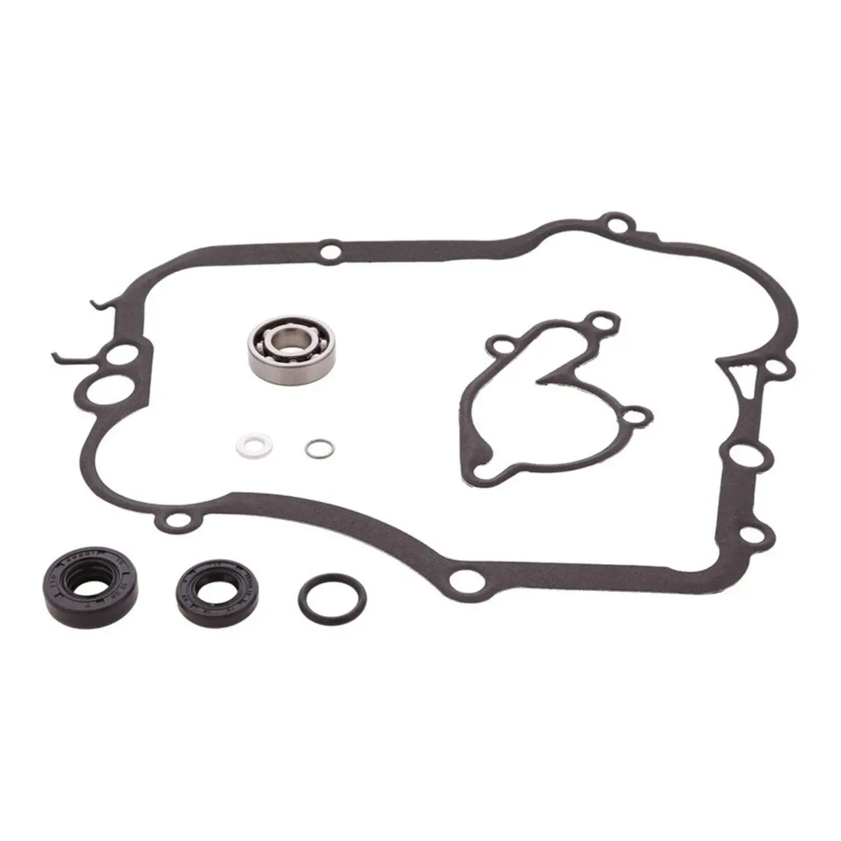 Water Pump Rebuild Kit 8210008 1