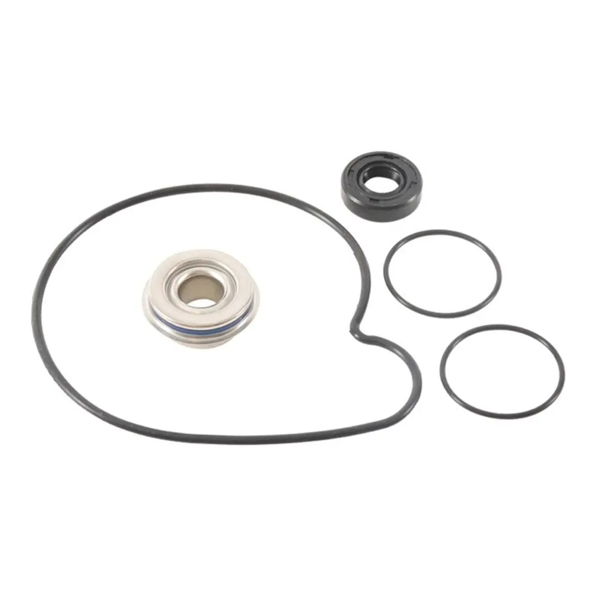 Water Pump Rebuild Kit 821001 1