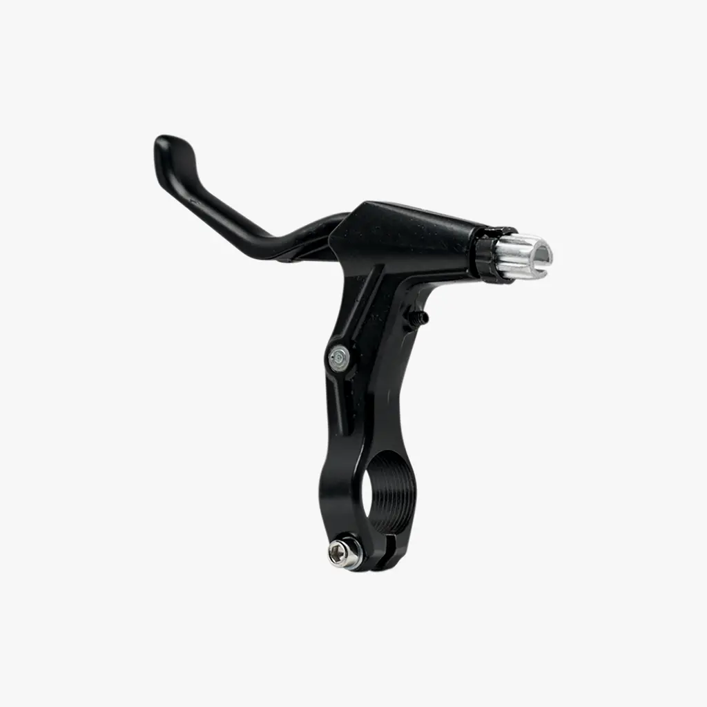 Bike-To-Go Lever 1