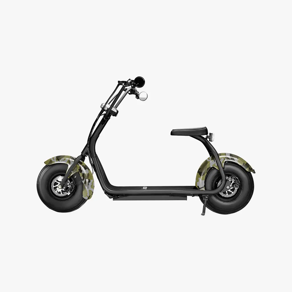 Fatboy Electric Bike 2
