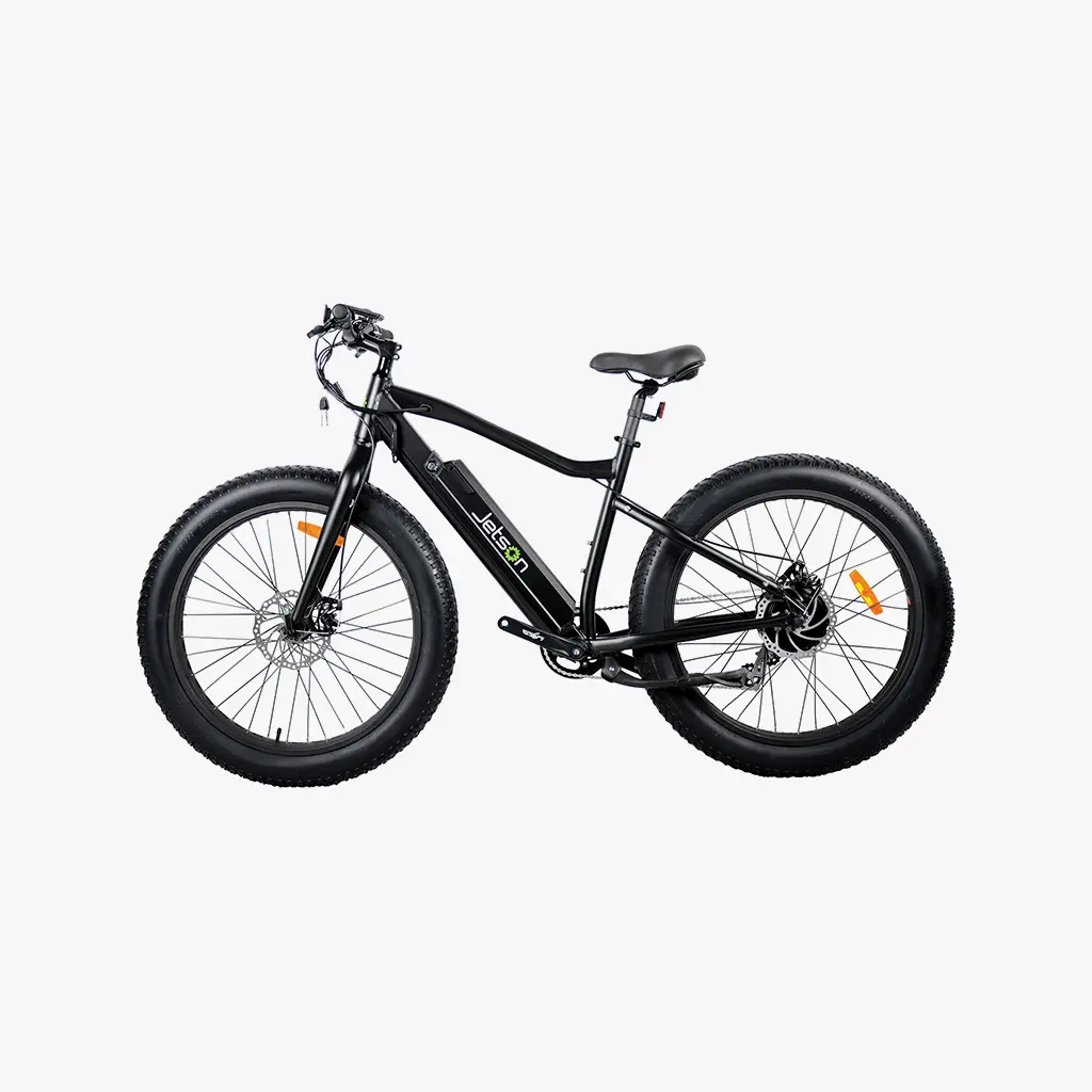 Fat Tire Electric Bike 1