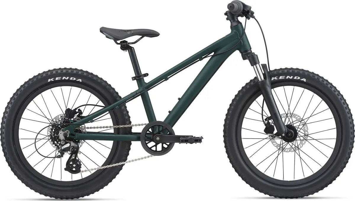 Stp 20 Fs (2024) 1