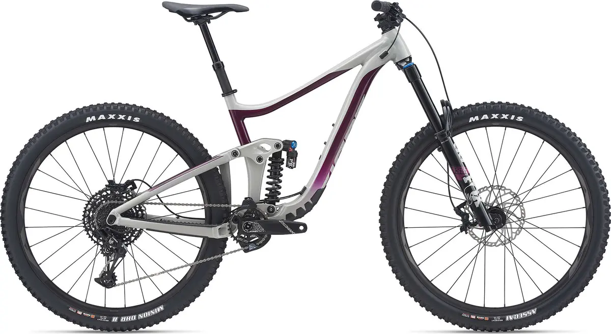 Reign Sx 29 (2021) 1