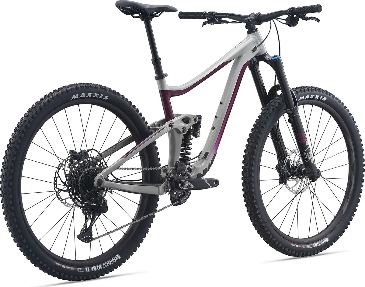 Reign Sx 29 (2021) 2