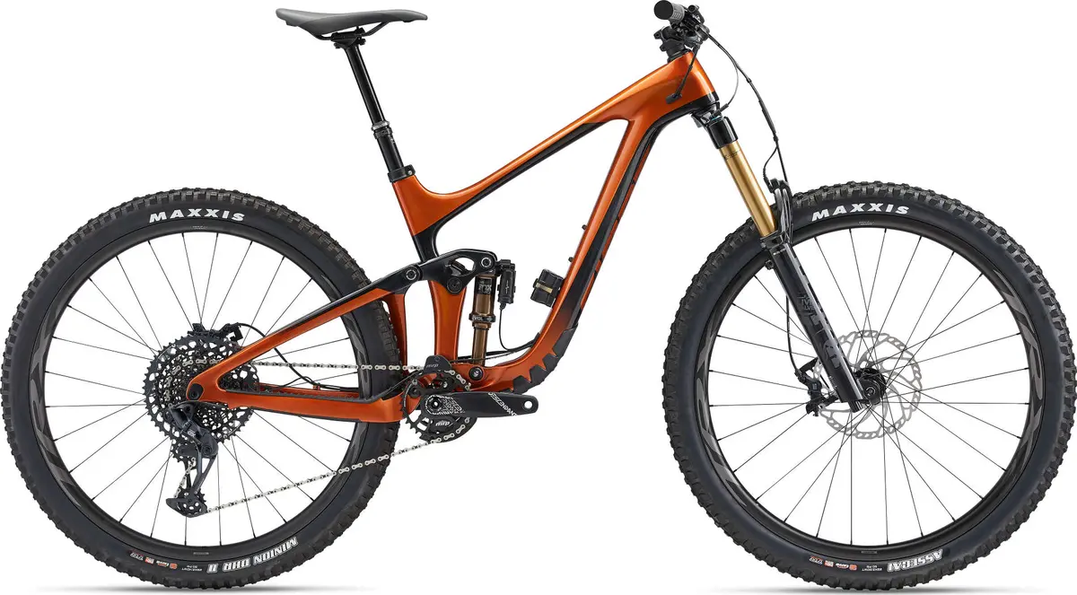 Reign Advanced Pro 29 1 1