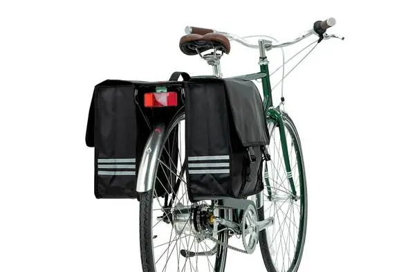 Professional Pannier 1