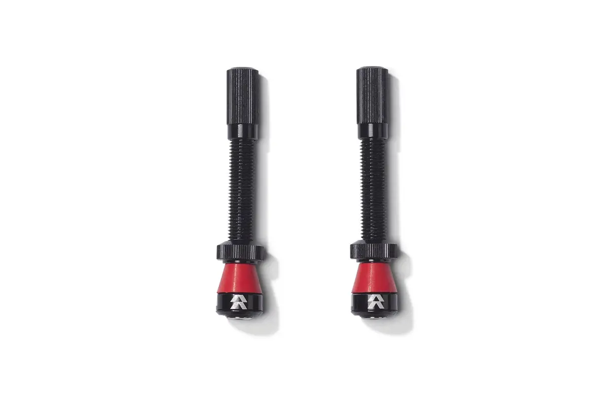 Fillmore Tubeless Valves 1