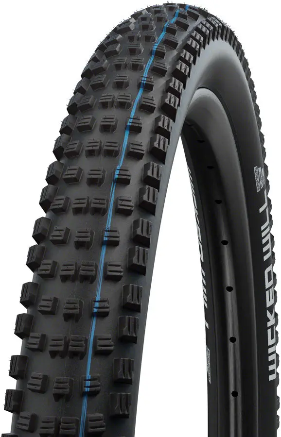 Wicked Will Tire (29X2.4) 1