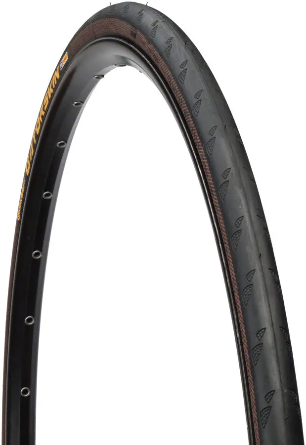Gatorskin Tire (Wire) 1