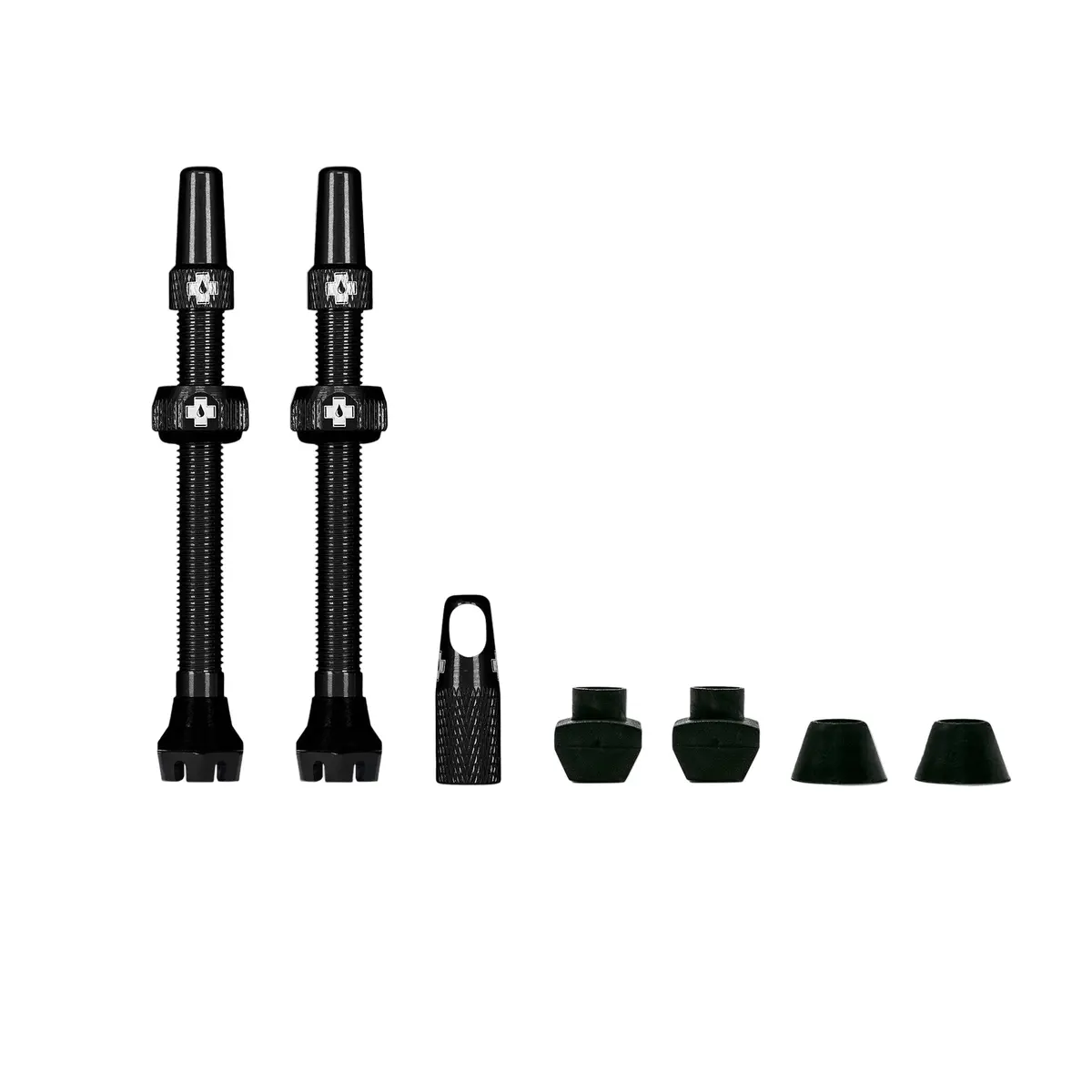 V2 Tubeless Valve Kit 1