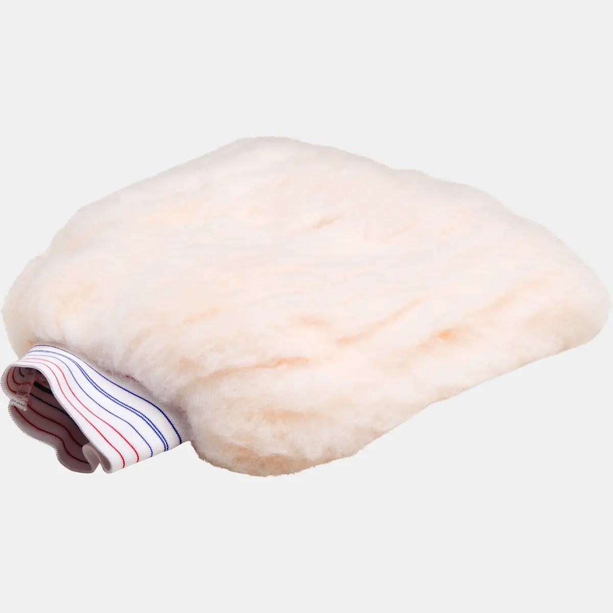 Professional Wash Mitt 1