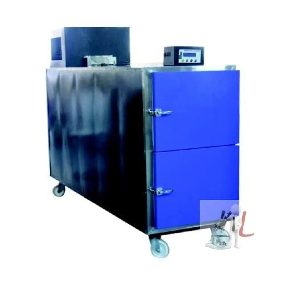 Scifa  Mortuary Chamber Four Bodies 1