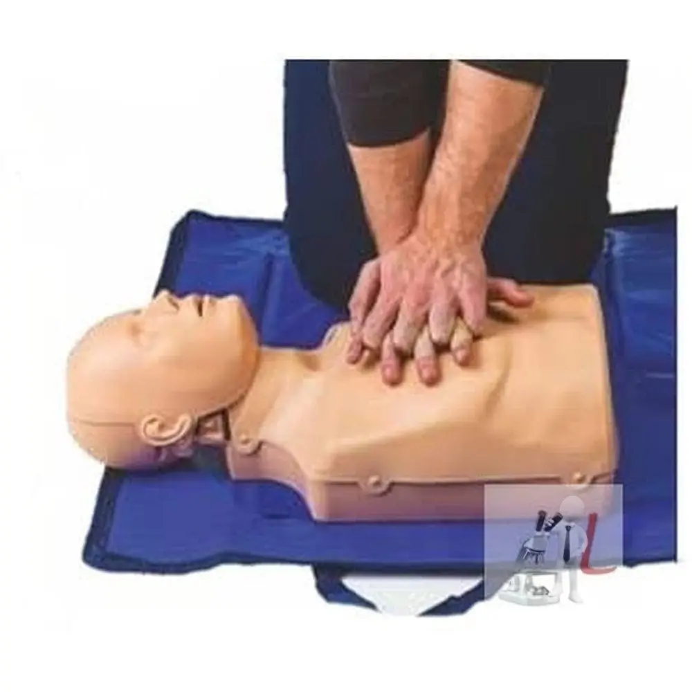 Scifa  Cpr Training Manikin Advance (Torso) 1