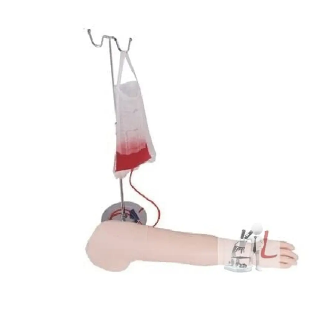 Scifa  Multifunctional Intravenous Injection Arm Model 1